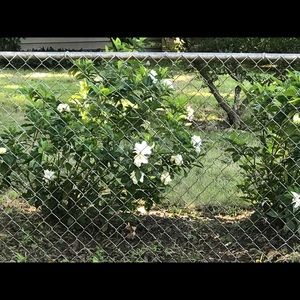 Meet your Posher, Debra